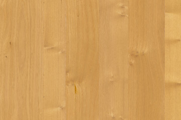 brown oak tree timber wood surface texture background wallpaper