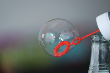 Colorful Soap Bubble Macro