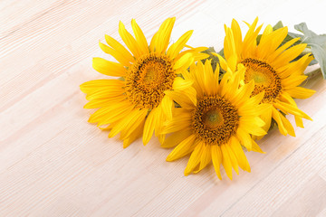 Obraz premium Several beautiful yellow sunflowers with a leaf on a natural wooden background