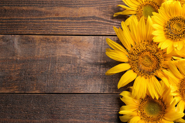 Many beautiful bright yellow sunflowers on a brown wooden background. top view with a place for inscription