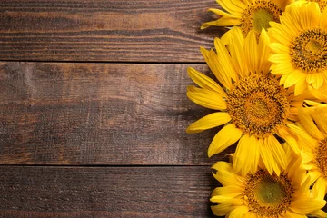 Fototapeten Many beautiful bright yellow sunflowers on a brown wooden background. top view with a place for inscription © MK studio