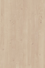 Fototapeta na wymiar oak wood wallpaper backdrop structure texture background