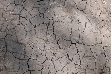 The black earth cracked from a drought. The lack of rain and moisture.