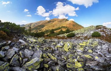 Pishkonia mountain range in September. Carpathians, Ukraine