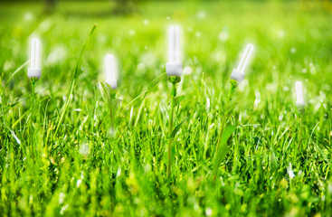Renevable energy, lightbulb concept on meadow