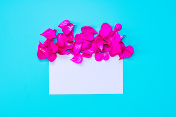 white empty horizontal card with flower petals