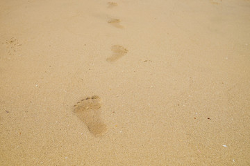 Footprint on the Beach Sand. Human Barefoot.