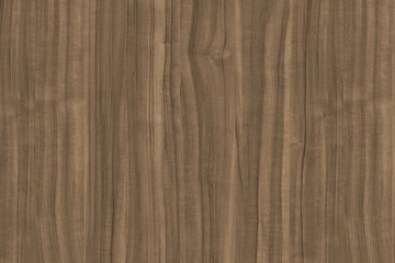 jacaranda timber tree wood grain structure texture background backdrop