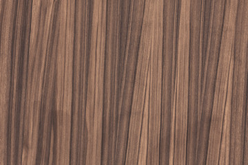 jacaranda timber tree wood grain structure texture background backdrop