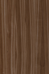 jacaranda timber tree wood grain structure texture background backdrop