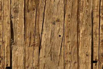 pine tree timber wood surface wallpaper structure texture background