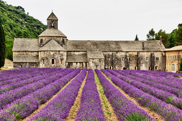 Notre-Dame de Sénanque