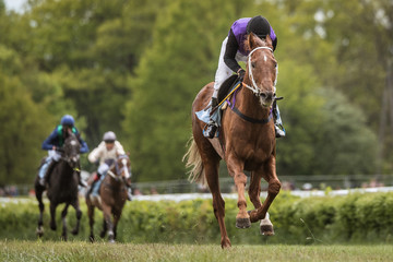 The jockey on horseback finishes during horse races