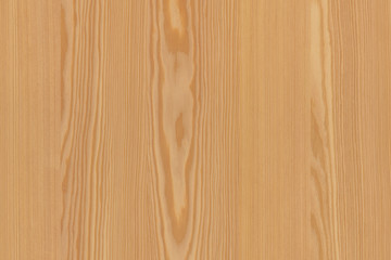 pine tree timber wood surface wallpaper structure texture background