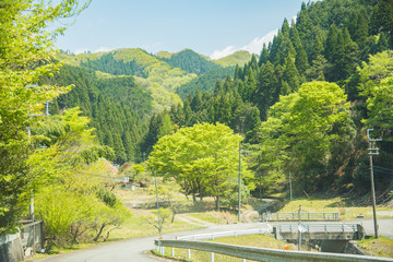  兵庫県中西部・山間の初夏、新緑の景色