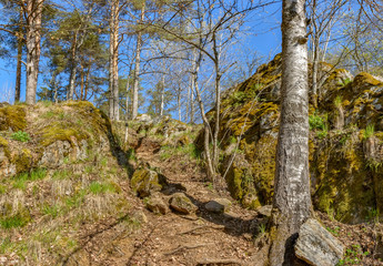 Weekend trip to the Republic of Karelia.