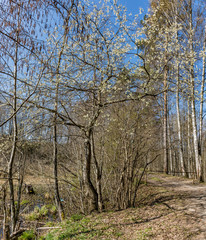 Weekend trip to the Republic of Karelia.