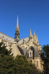 Fototapeta na wymiar exterior of Notre Dame in Paris
