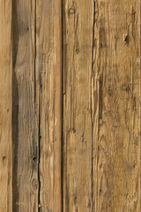 Fototapeta na wymiar pine tree timber wood surface wallpaper structure texture background