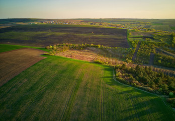 Sunset light over cultivating field in the spring