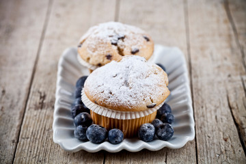 Homemade fresh muffins with sugar powder and blueberries on ceramic plate.