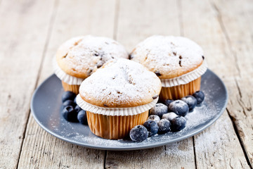 Three homemade fresh muffins with sugar powder and blueberries on ceramic plate closeup on rustic wooden table.