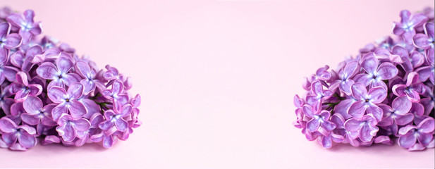 Banner for a site or facebook with branches of purple lilac.
