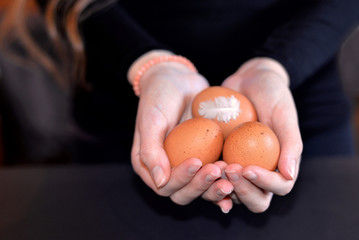 Woman's hands holding hen/chicken eggs. Selective focus
