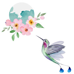 Naklejki  Akwarela koliber latający wokół kwiatów wiśni.