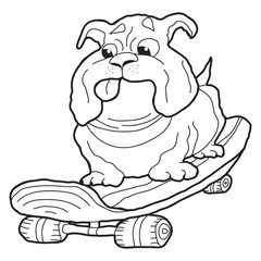 Cartoon doodle illustration of cute dog on skateboard for coloring book, t-shirt print design, greeting card