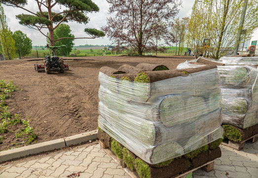 rolled turf is laid on a company site