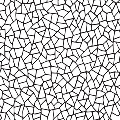  Seamless pattern.The cracks texture white and black. Vector background