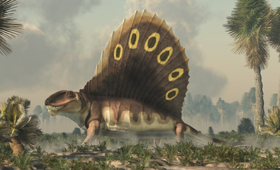 A brown dimetrodon, a prehistoric sail-backed creature that predates the dinosaurs, stands in a permian era wetland bearing its sharp teeth. © Daniel Eskridge