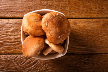 Shitake Mushroom on Wood Background