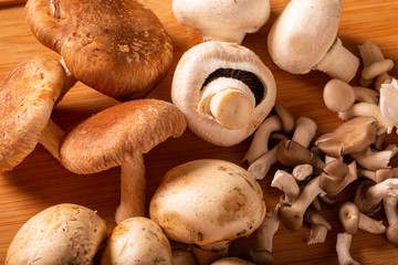 Various types of mushrooms on a wooden table