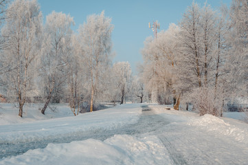 View of winter park with magnificent hoarfrost and cleared walking lanes.  Latvia. Baltic.