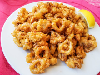 Squids to the roman