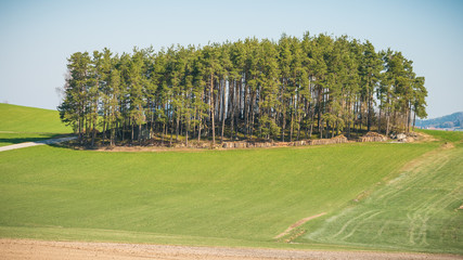 Fototapeta premium Waldviertel 2019