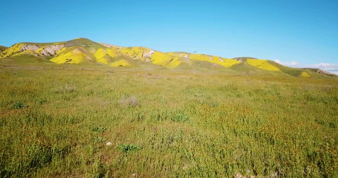 Temblor Range California Wildflowers Aerial