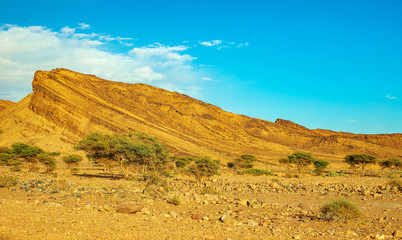 A beautiful mountain landscape, a geological wonder . Atlas Mountains, Morocco.