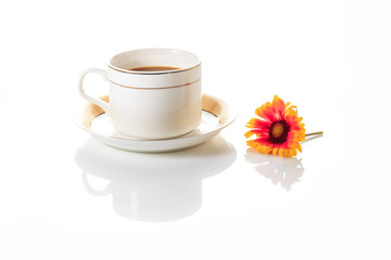 Flowers, coffee and books on a white background