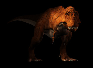 A tyrannosaurus rex stands on a black background. The most popular carnivorous dinosaur, this predator lived during the Cretaceous period. 3D Rendering.