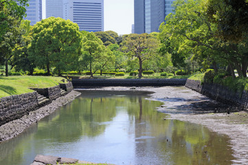 Obraz premium 浜離宮恩賜庭園の風景