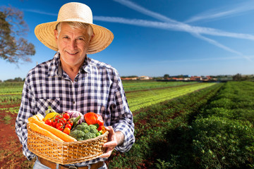 Man holding basket with healthy organic vegetables. Plantation background.