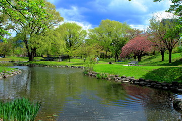 Fototapeta na wymiar 札幌中島公園の春の風景
