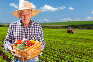 Man holding basket with healthy organic vegetables. Plantation background.