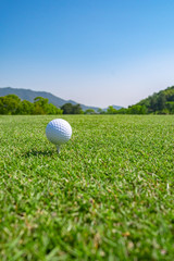ゴルフボール ティーアップ