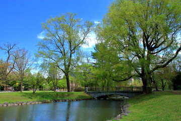 札幌中島公園の春の風景