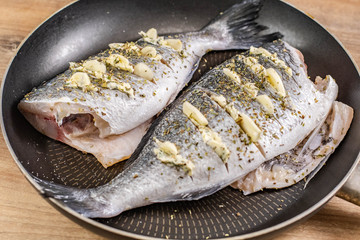 Frische Fisch Dorade 