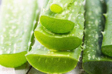 Aloe vera leaves